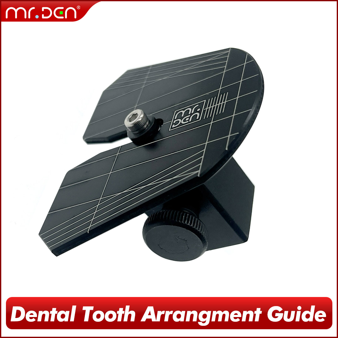 2026 MR DEN دليل ترتيب الأسنان - مراجعة 3D Printing Guide وسعره